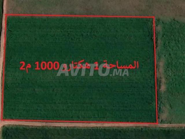 Vente de terrains et fermes titrés à Sidi Rahal
