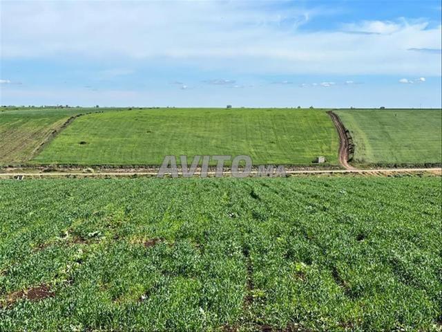 Vente de terrains & fermes à azemmour