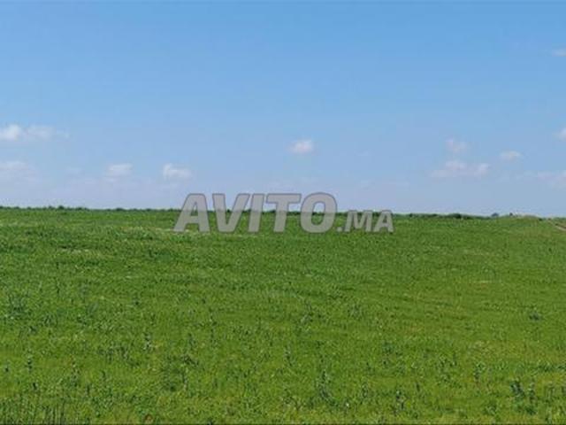 Vente de Terrains & Fermes Titrés – Bir Jdid