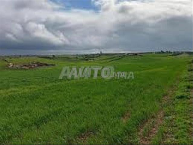 Vente de terrains & fermes titrés – Bir Jdid