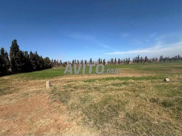Vente de terrains & fermes titrés – Sidi Rahal