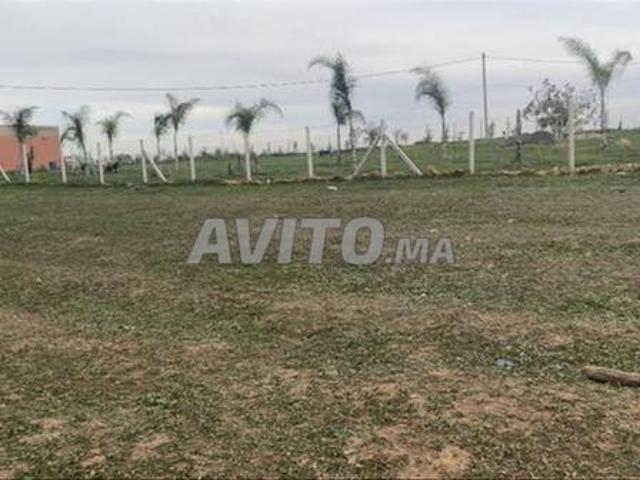 Vente de terrains & fermes titrés — Tnine Chtouka
