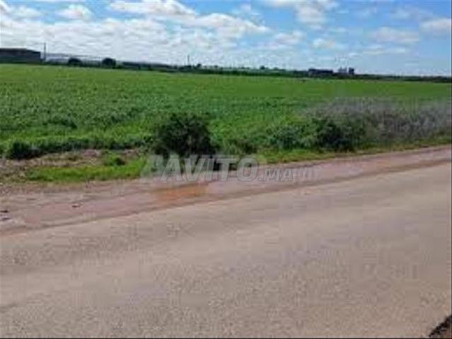 Vente de terrains & fermes titrés – Tnine Chtouka