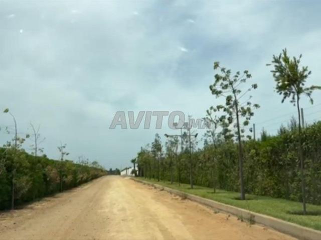 Vente de Villa semi finie terrain de 5 000 métres