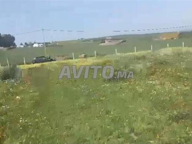 Vente de fermes et terres agricoles titrées — Bir Jdid