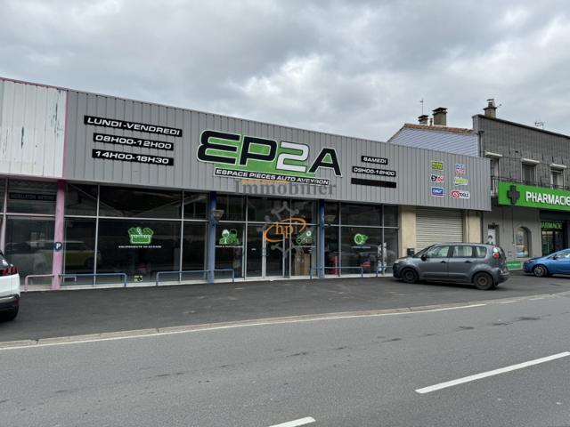 Vente deux locaux commerciaux, dépôt, 12 garages et parking