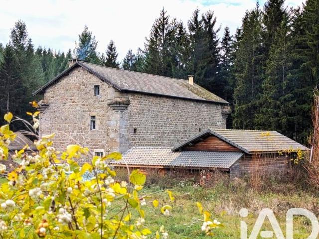 Vente Domaine 15 pièces