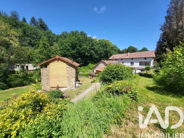 Vente Domaine 11 pièces