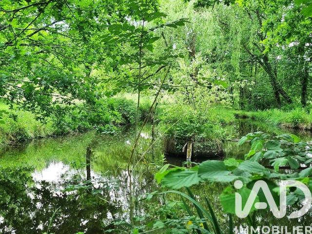 Vente Domaine 5 pièces 154m² Bergerac