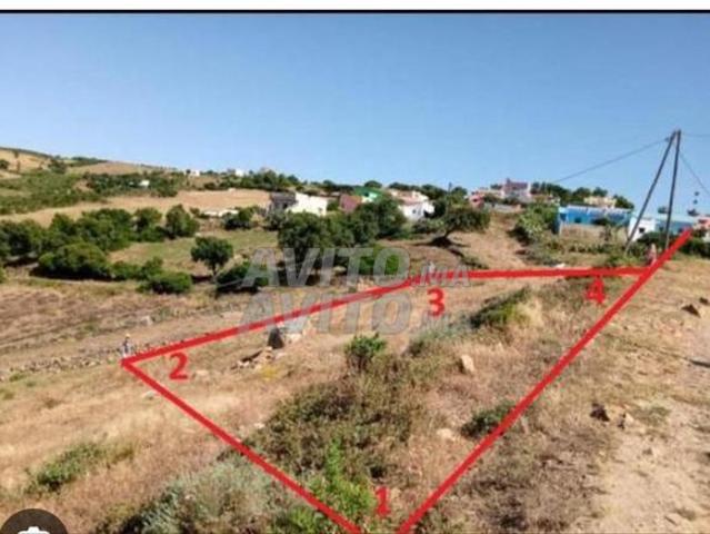 Vente d'un terrain