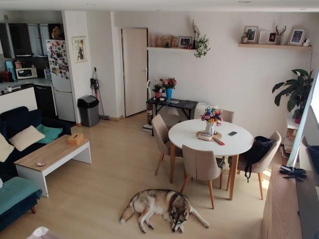 Vente Duplex 3 pièces