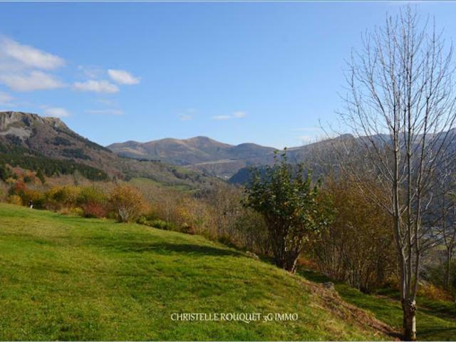 Vente Duplex 3 pièces 40 m2 Murat le Quaire