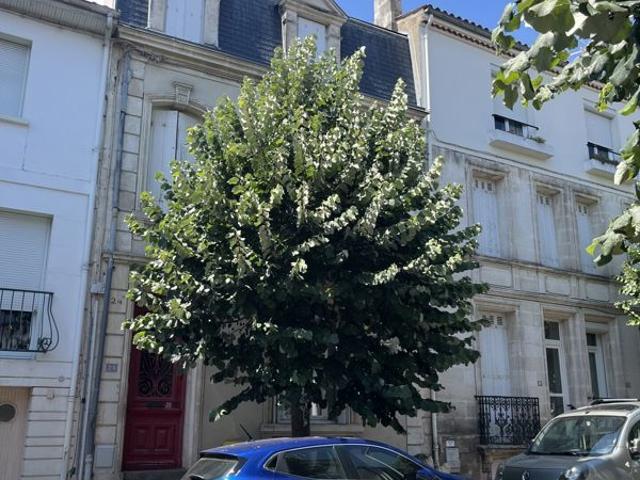 Vente Duplex 2 pièces