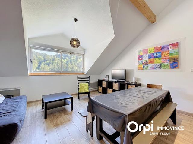 Vente Duplex 2 pièces 50 m2 Laveissière