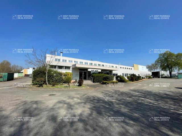 Vente ensemble immobilier industriel Schweighouse sur Moder 11 500 m²