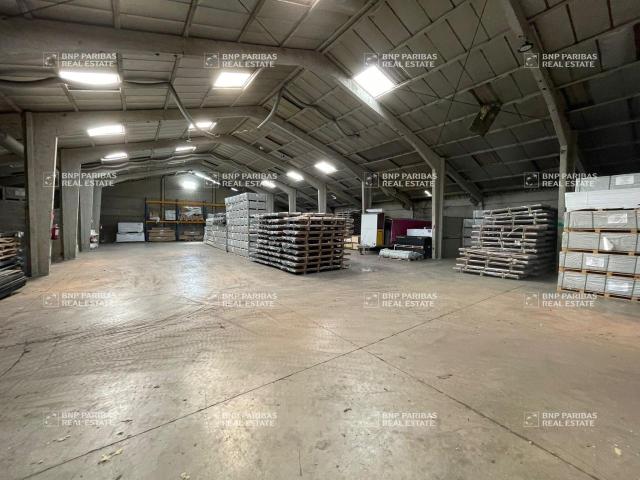 Vente entrepôt Illies Grand foncier 12 000 m²