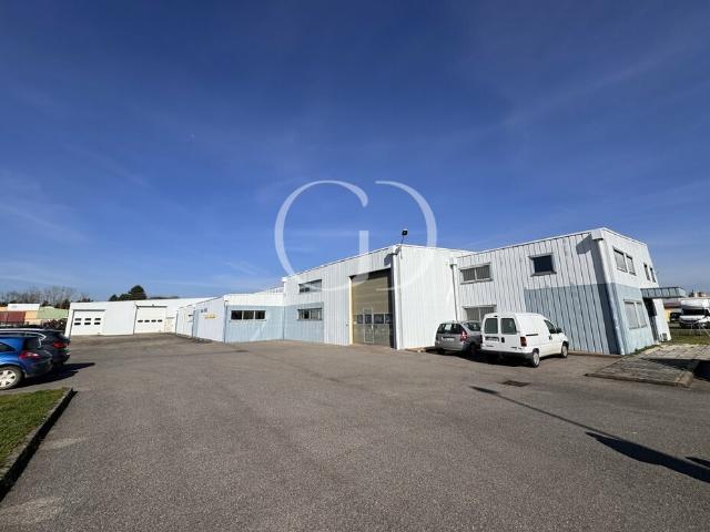 Vente entrepôt Saint André de Corcy Zone d'activité Visibilité rond point