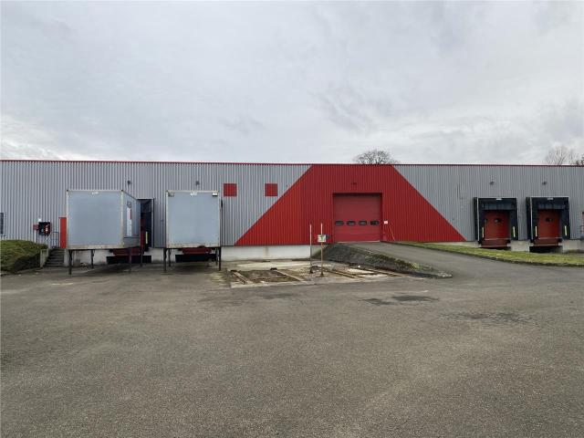 Vente entrepôt Sarthe Accès A11 & A28 4 portes à quai