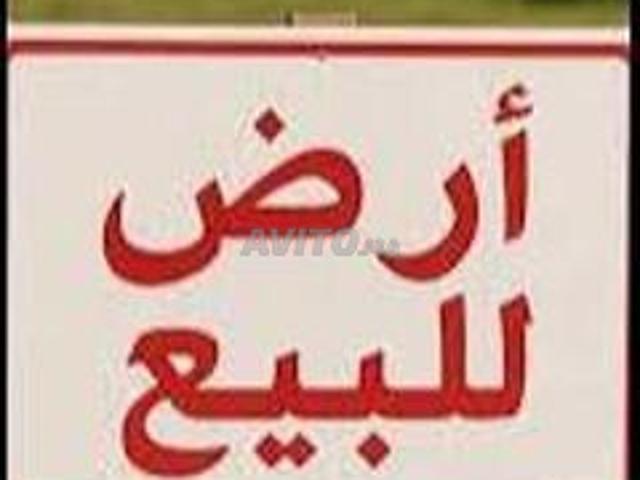 Vente et achat de terrain ou de ferme agricole à Sidi Allal El Bahraoui