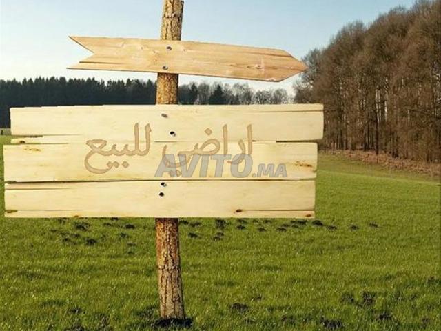 Vente et achat immobilier Sidi Allal El Bahraoui
