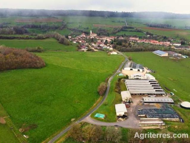 Vente Exploitation Agricole 1 pièce 105 m2 Graffigny Chemin