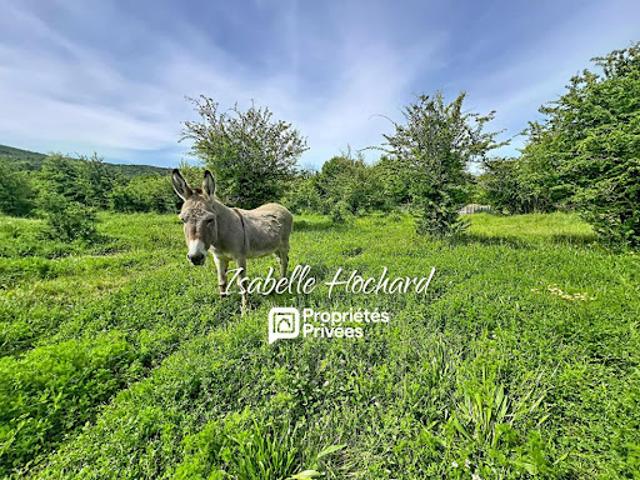 Vente Exploitation Agricole 43266 m2 Néoules