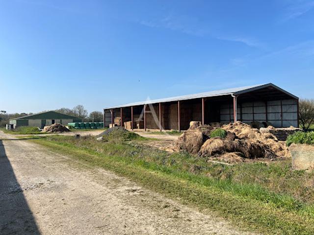 Vente Exploitation Agricole 5 pièces 116 m2 Saint gervais