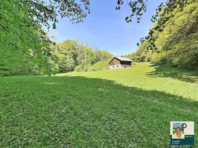 Vente Ferme 4 pièces 50 m2 Taninges