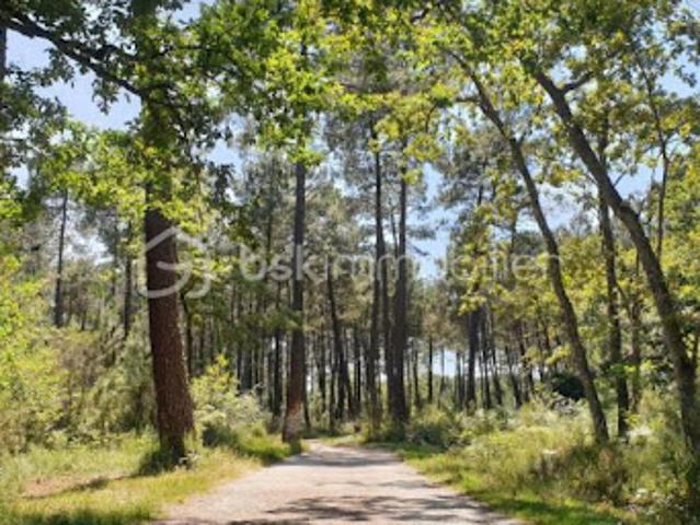 Vente Ferme 4 pièces 172 m2 Grignols
