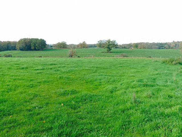 Vente Ferme 5 pièces 85 m2 La Coquille