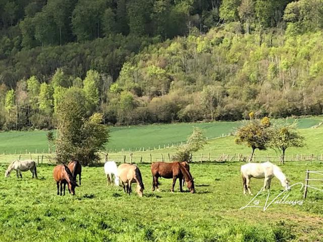 Vente Ferme 5 pièces 97 m2 Les Grandes Ventes