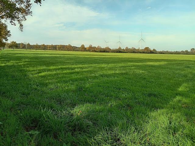 Vente Ferme 5 pièces 111 m2 Riaillé