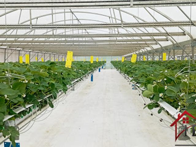 Vente Ferme 5 pièces 275 m2 Vittel