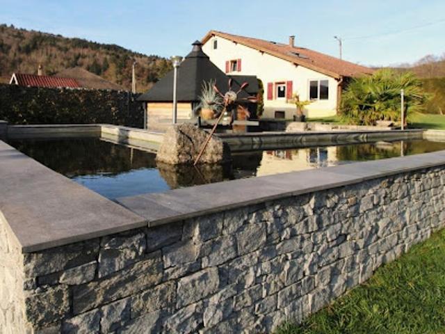 Vente Ferme 6 pièces 200 m2 Ramonchamp
