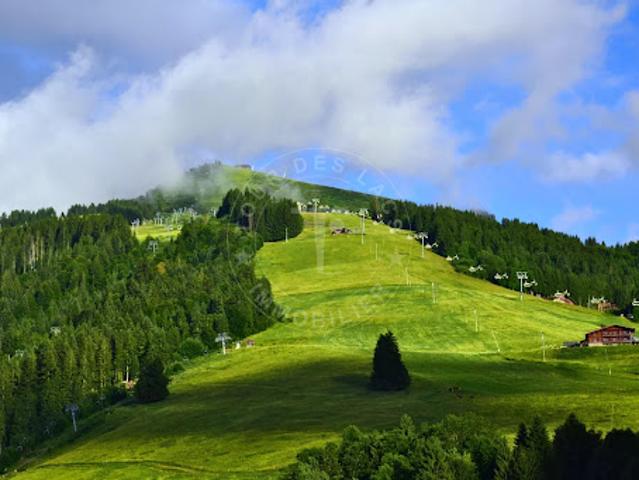 Vente Ferme 7 pièces 217.83 m2 La Clusaz