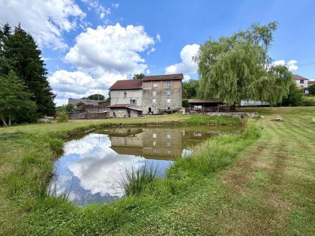 Vente Ferme 170 m² à Hadol 285 000 ¤