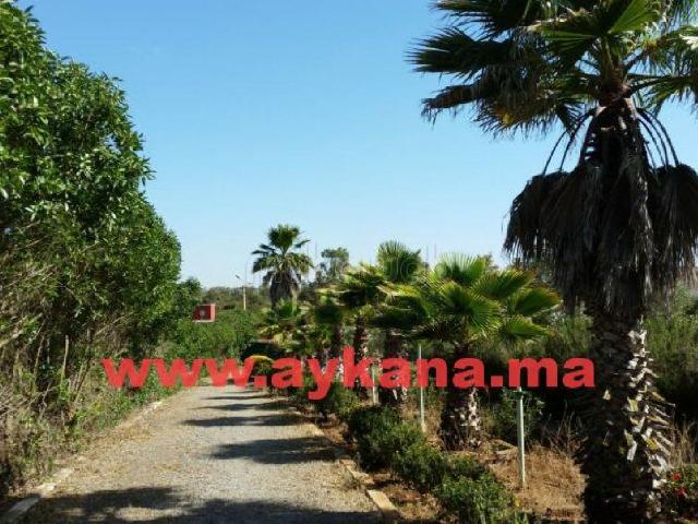Vente Ferme Benslimane