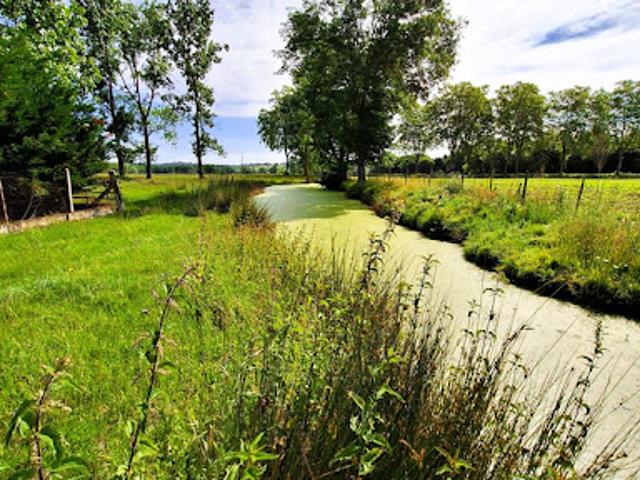 Vente Fermette 1 pièce 239 m2 Plaisance