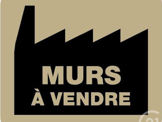 Vente Fond de commerce Saint Gély du Fesc