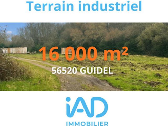 Vente Fond de commerce 0 pièces 16000 m2 Guidel