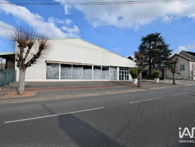 Vente Fond de commerce 0 pièces 1000 m2 Bonny sur Loire