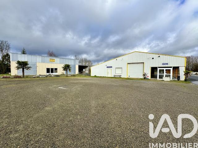 Vente Fond de commerce 0 pièces 1200 m2 Vernantes