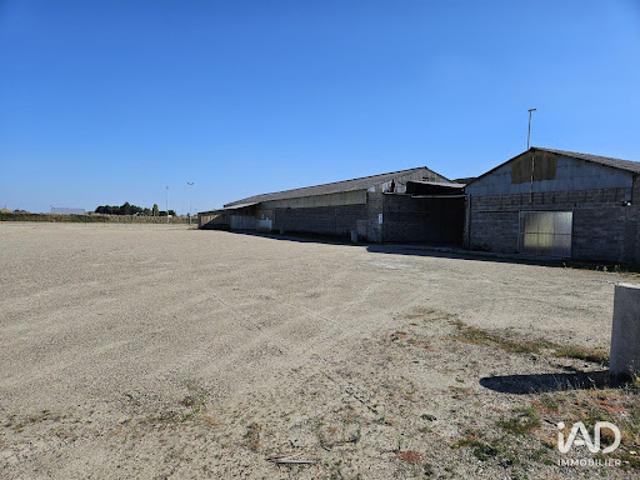 Vente Fond de commerce 0 pièces 1250 m2 Saint Nicolas de la Grave