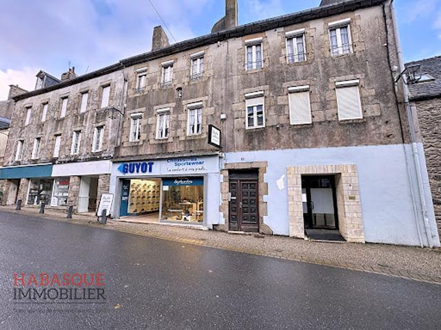 Vente Fond de commerce 0 pièces 278 m2 Lesneven