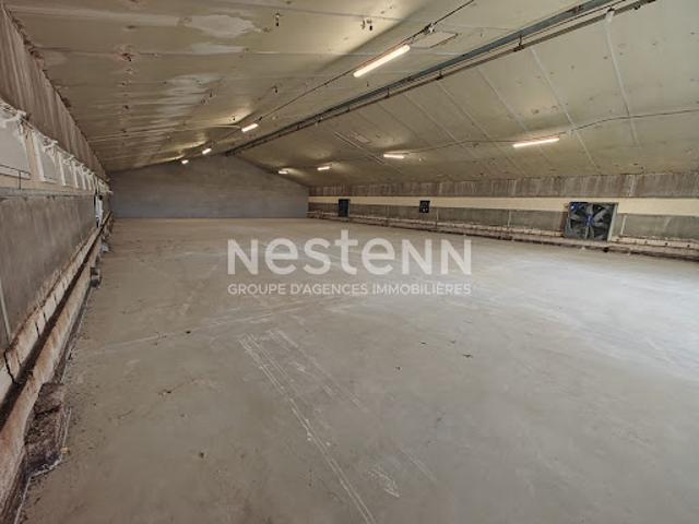 Vente Fond de commerce 0 pièces 2000 m2 Fosse