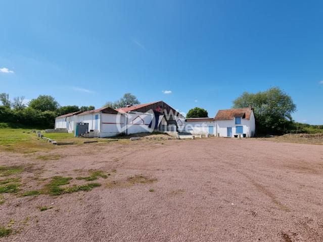 Vente Fond de commerce 0 pièces 395 m2 Richelieu