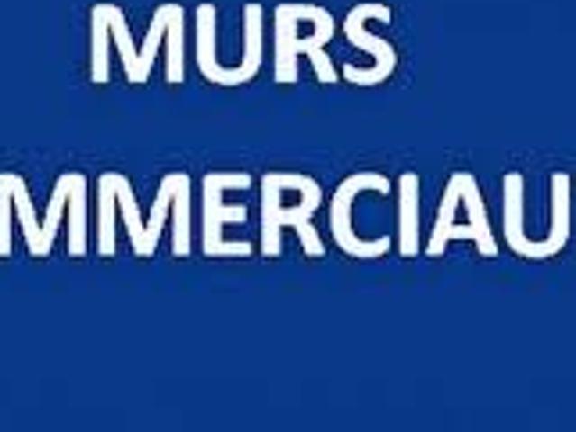 Vente Fond de commerce 0 pièces 40000 m2 Saint Martin au Laërt