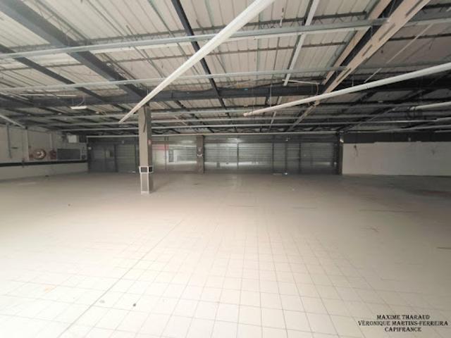 Vente Autre 1481 m2 Vierzon