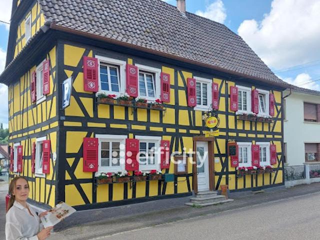 Vente Fond de commerce 10 pièces 233 m2 Lobsann