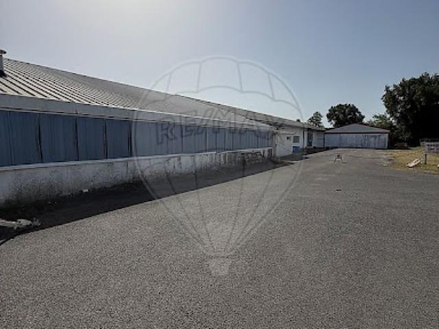 Vente Fond de commerce 1 pièce 2000 m2 Cadaujac